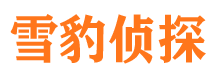 拜城市侦探公司